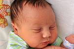 Adam Krupa se narodil Lence Kučerové z Teplic  21. června  v 11.20 hod. v teplické porodnici. Měřil 50 cm a vážil 3,55 kg.