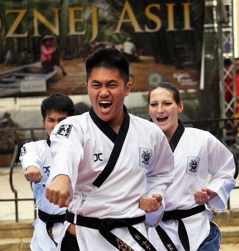 Festival Poznej Asii pořádaný vietnamskou komunitou.