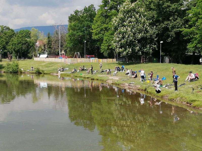 Rybářské závody dětí v Proboštově.