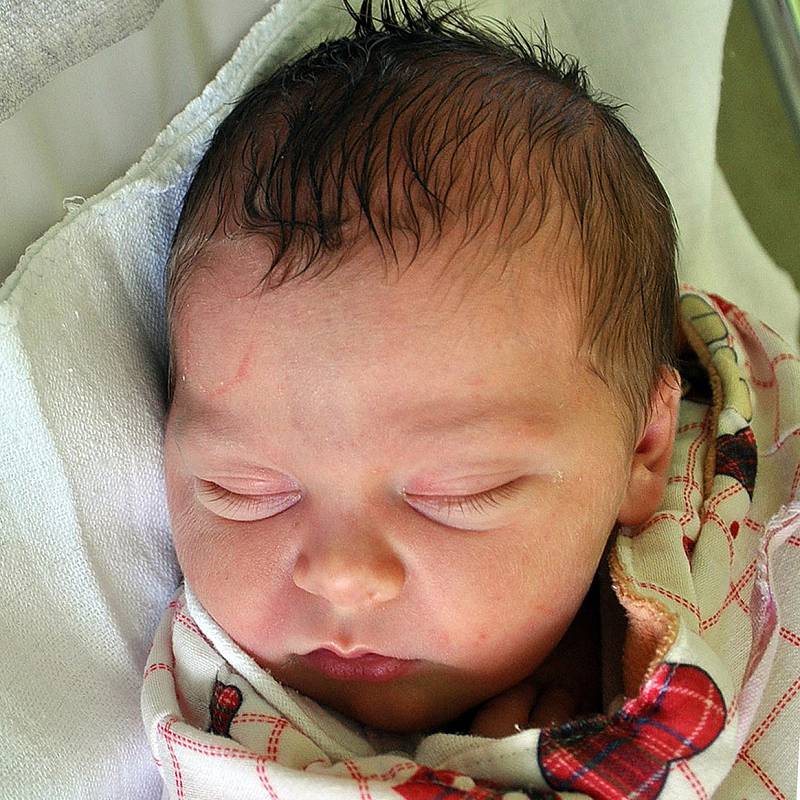 Ema Křížová se narodila Tereze Křížové z Teplic 16. srpna  v 11.58 hod. v teplické porodnici. Měřila 51 cm a vážila 3,6 kg.