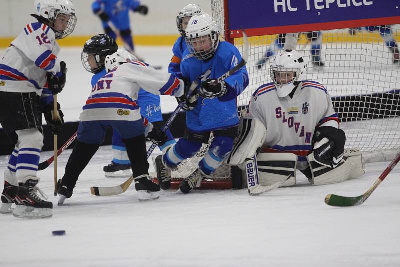 Huskies Cup v Teplicích