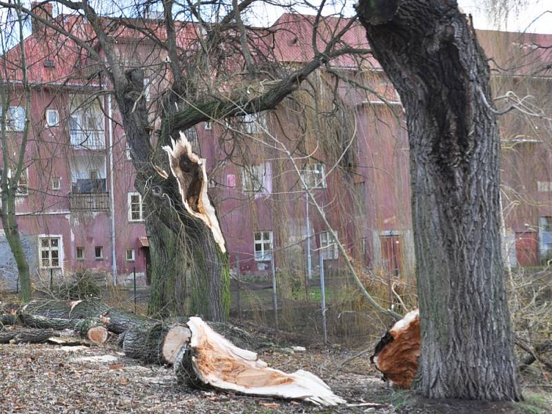 Staré vrby za kinem Lípa v Duchcově nevydržely nápor větru. 