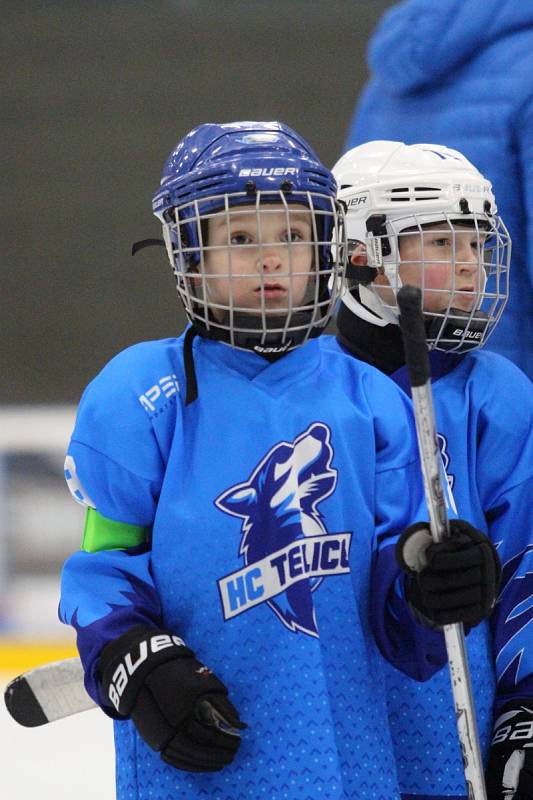 Huskies Cup v Teplicích