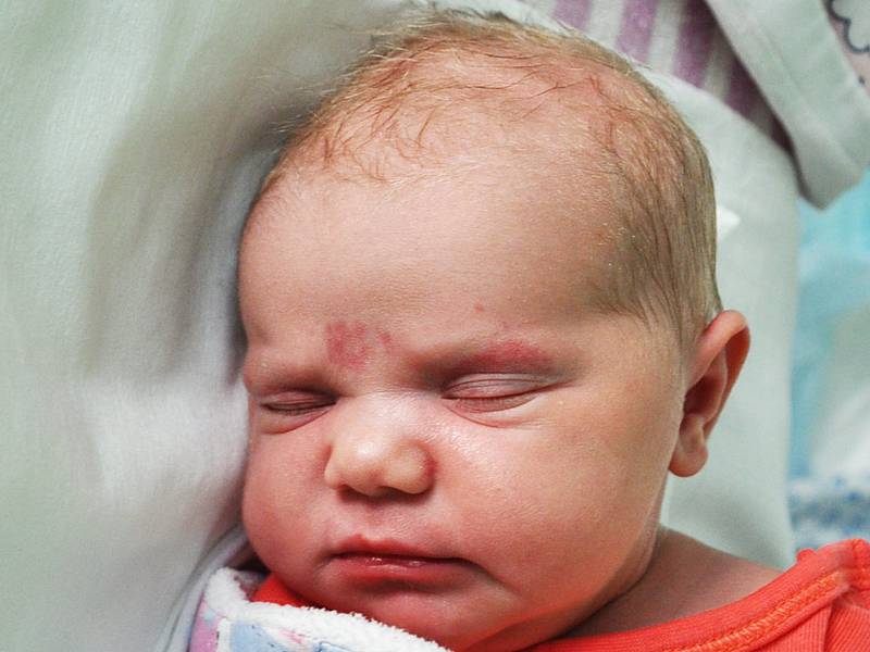 Eliška Šrotová se narodila Lucii Mourkové z Bíliny 28. listopadu v teplické porodnici v 8,03 hod. Měřila 52 cm, vážila 3,75 kg