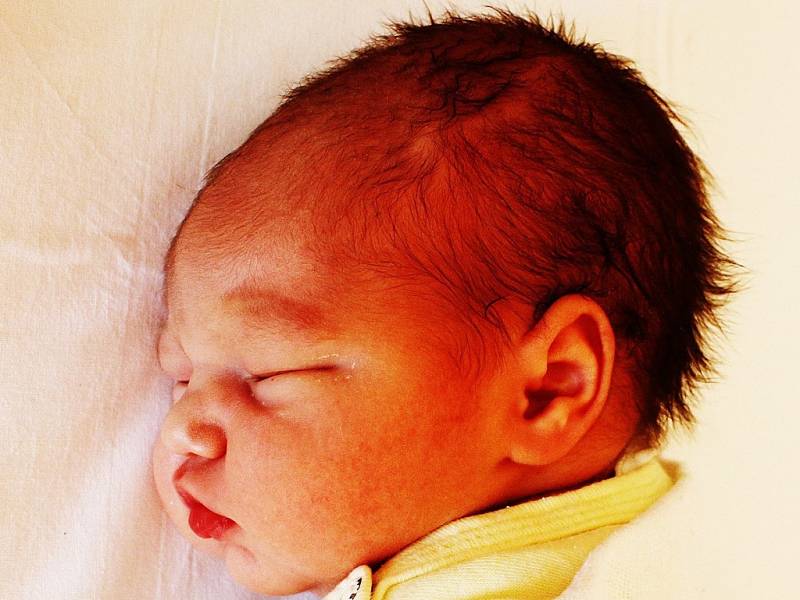 Sofie Ellen Nimrichterová se narodila Denise Bílkové  z Teplic 13. července  v 9.10 hod. v ústecké porodnici. Měřila 46 cm a vážila 2,47 kg.