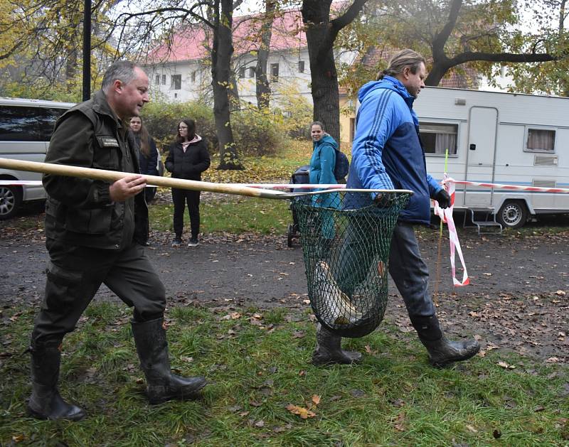 Výlov na Horním zámeckém rybníku v Teplicích.