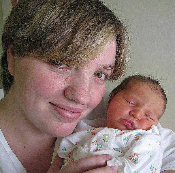 Mamince Daně Pokorné z Háje se 12. února ve 14.26 hodin v teplické porodnici narodila dcera Pavlína Pokorná. Měřila 51 cm a vážila 3,55 kg.