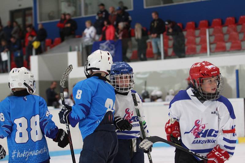 V Plzni se hrál hokejový turnaj Wolves Cup pro ročníky 2013