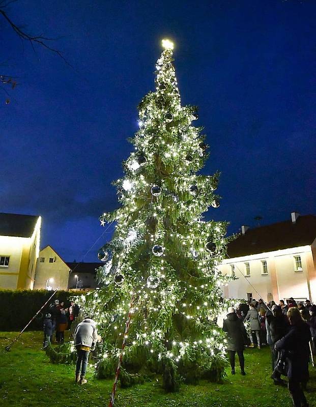 Vánoční strom v Modlanech