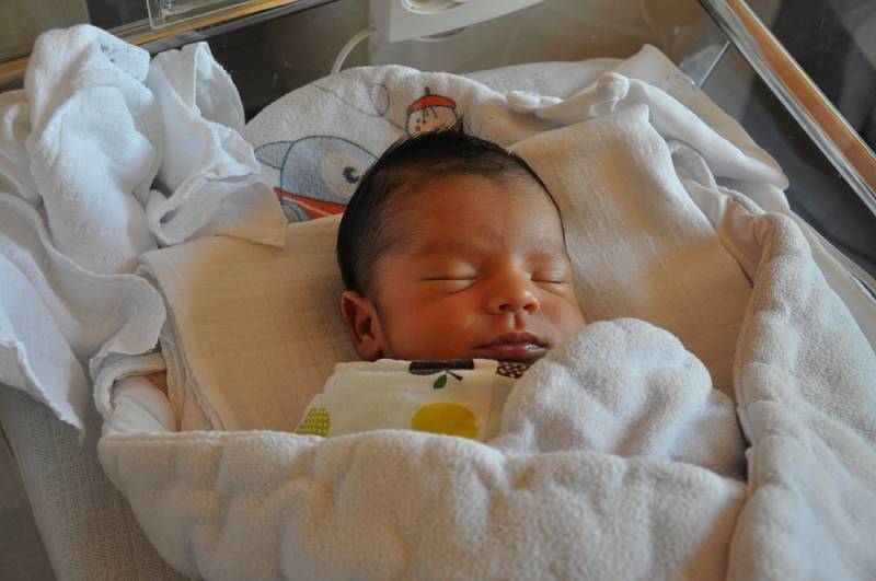 JAN JASIN VELKOLLARI se narodil Lence Velkollari z Teplic 13. října v 18.06 hod. v teplické porodnici. Měřil 46 cm a vážil 2,800 kg.