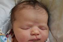 Nela Kulhánková se narodila Anně Kulhánkové z Teplic 27. dubna 2022 v 9,57 hodin v teplické porodnici. Měřila 51 cm, vážila 3,70 kg.