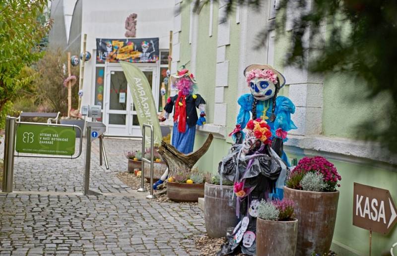 Botanka láká na výstavu Día de los Muertos.