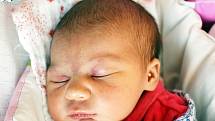 Victorie Daňová se narodila Daniele Havlíčkové z Krupky 3. srpna v 11,56 hodin v teplické porodnici. Měřila 45 cm, vážila 2,49 kg.