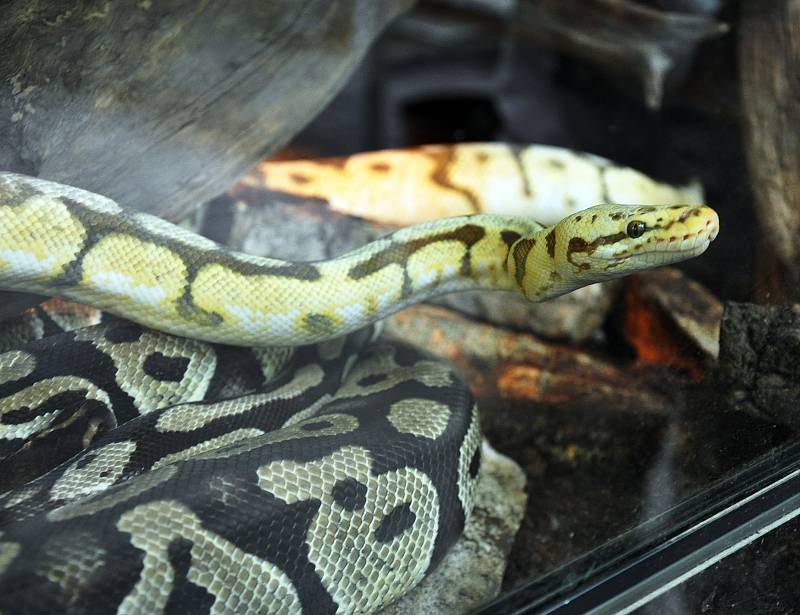 biopark gymnázium Teplice