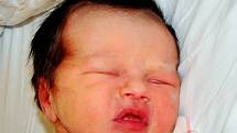 Julie Anna Huttová se narodila Jaroslavě Huttové z Prahy 21. listopadu  v 10.32 hod. v teplické porodnici. Měřila 48 cm a vážila 3 kg.