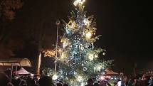 Vánoční strom ve Rtyni nad Bílinou