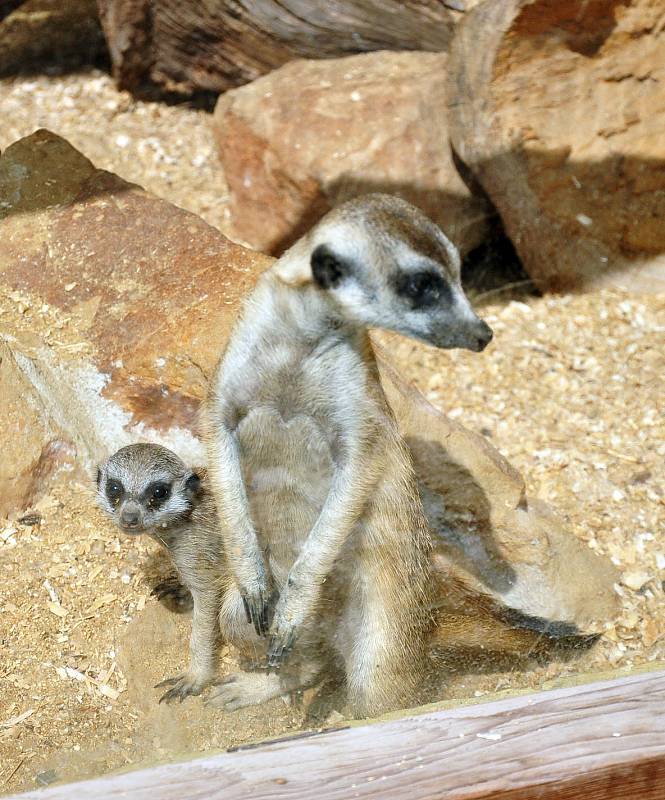 biopark gymnázium Teplice