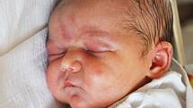 Mamince Kristýně Jandové z Teplic se 6. ledna v 15.37 hod. v teplické porodnici narodila dcera Liliana Tomschi. Měřila 52 cm a vážila 3,40 kg.