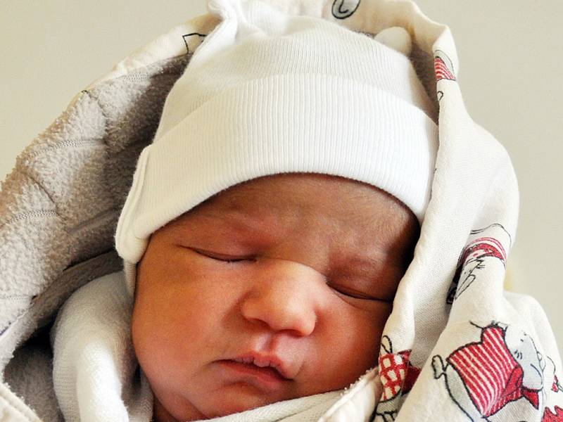 JOLANA BIKÁROVÁ se narodila Sandře Bikárové z Bíliny 5. února v 19.33 hod. v teplické porodnici. Měřila 46 cm a vážila 2,8 kg.