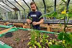 Pavel Lukáč staví ve sklenících v Oseku na Teplicku pultové záhony pro aquaponické pěstování