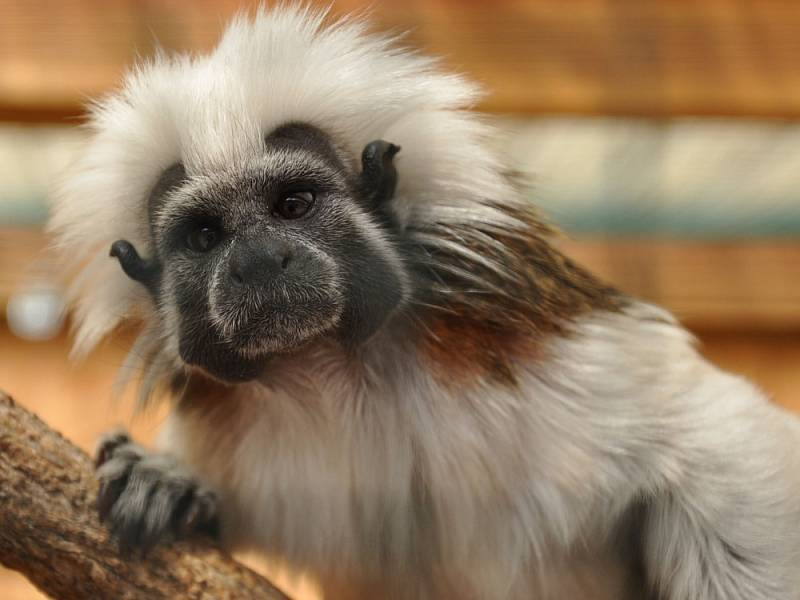 biopark gymnázium Teplice