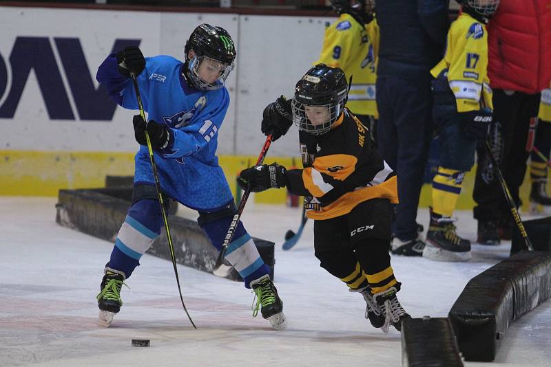 HC Teplice Huskies na turnaji v Maďarsku