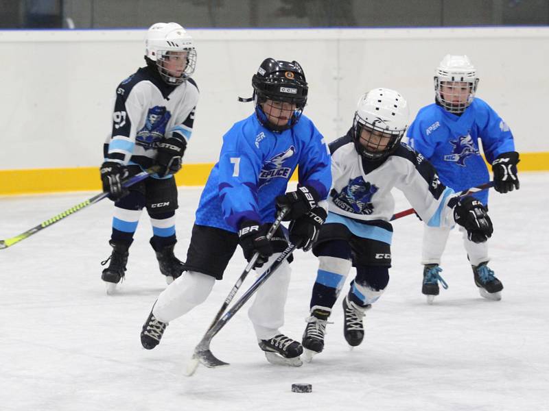 Přátelské utkání přípravek HC Teplice Huskies - Mostečtí Lvi