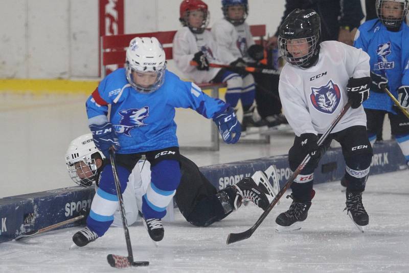 Teplice na turnaji Wolves Cup v Plzni