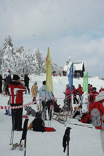 Karneval na Komáří vížce