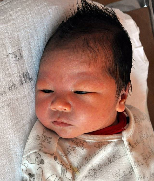 Mamince Nguyen Thi My Hanh z Hrobu se 19. prosince v 15.49 hod. v teplické porodnici narodil syn Pham Viet Anh. Měřil 49 cm a vážil 3,20 kg.