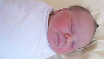 Mamince Natalii Šeda z Bíliny se 18. dubna ve 22.30 hodin v teplické porodnici narodila dcera Natalie Šeda . Měřila 48 cm a vážila 3,50 kg.