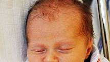 Veronika Smetanová se narodila Michaele Volencové  z Teplic 18. července  v 6.25 hod. v teplické porodnici. Měřila 48 cm a vážila 2,6 kg.