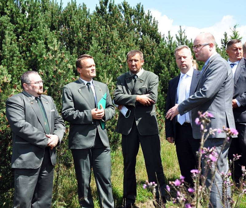 Vláda se bude zabývat obnovou lesů v Krušných horách, řekl při prohlídce smrkového porostu nad Dlouhou loukou premiér Bohuslav Sobotka