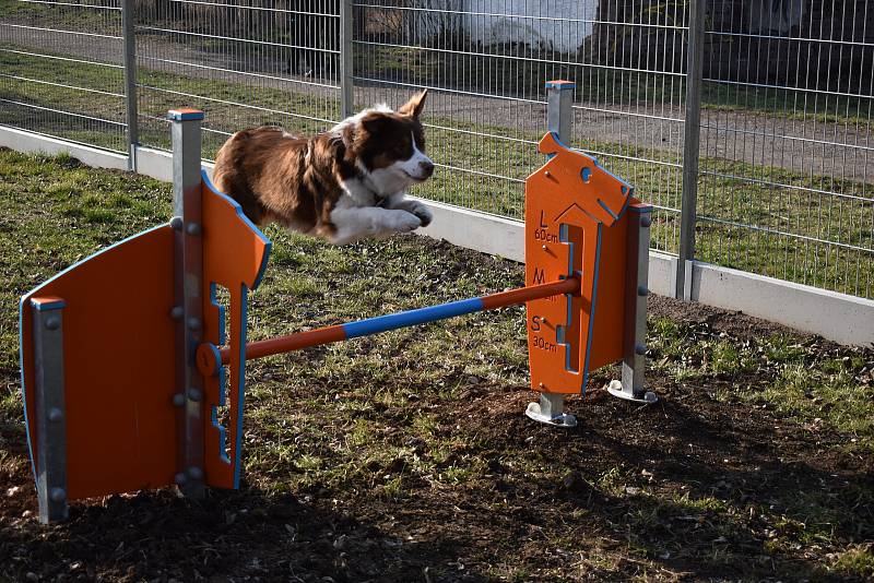 Slavnostní otevření veřejného hřiště pro psí agility v Trnovanech.