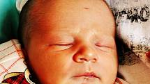 Matěj Westfál se narodil Michaele Westfálové  z Teplic  9. července  v 11.01 hod. v teplické porodnici. Měřil 53 cm a vážil 4,06 kg.