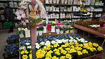 Koupit tak lze potraviny, dekorace v rámci domácích potřeb či pomlázku z proutí, resp. i jiné velikonoční rostliny běžně dostupné v květinářství.