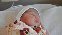 KAROLÍNA DAVIDOVÁ se narodila Veronice Davidové z Teplic 20. října v 8.53 hod. v teplické porodnici. Měřila 47 cm a vážila 3,150 kg.