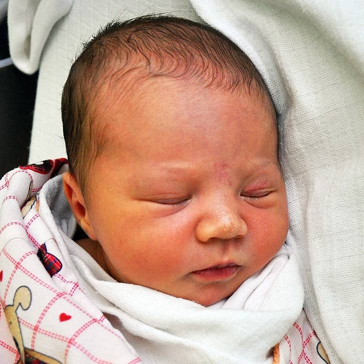 Natálie Moudrá se narodila Simoně Moudré z Novosedlic 18. července  ve 14.21  hod. v teplické porodnici. Měřila 53 cm a vážila 3,95 kg.