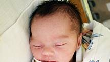 Hana Horňáková se narodila Pavle Börnerové z Teplic  3. srpna v 1,35 hodin v teplické porodnici. Měřila 48 cm, vážila 2,80 kg.