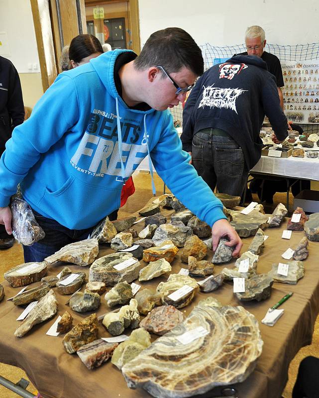 Amaterská burza minerálů a zkamenělin v teplickém gymnáziu.