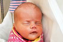 Dominika Růžičková se narodila Nikole Růžičkové z Teplic 1. července v 5,43 hodin v teplické porodnici. Měřila 46 cm, vážila 2,49 kg