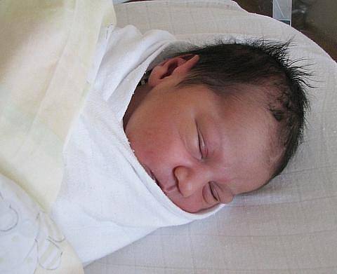 Perle Lázokové z Duchcova se v teplické porodnici 6.10. ve 22.05 hod. narodila dcera Liliana Lázoková, míry 50 cm, 3,35 kg.