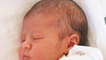 Daně Havlové z Teplic se v ústecké porodnici 25. 9. ve 14.40 hodin narodila dcera Nela Havlová. Měřila 50 centimetrů a vážila 3,4 kg.
