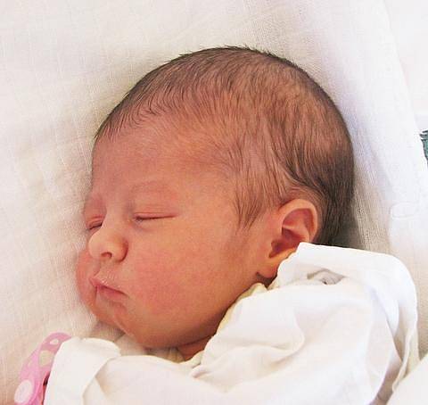 Daně Havlové z Teplic se v ústecké porodnici 25. 9. ve 14.40 hodin narodila dcera Nela Havlová. Měřila 50 centimetrů a vážila 3,4 kg.