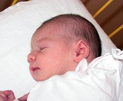 Lucii Franisové z Teplic se v ústecké porodnici 4. 10. v 19.14 hod. narodila dcera Valerie Franisová. Měřila 49 cm a vážila 3,04 kg.