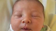 Dominik Soukup  se narodil 23. května v 0,06 hodin mamince Dominice Heinrichové ze Žalan. Měřil 49 cm a vážil 3,60 kg.