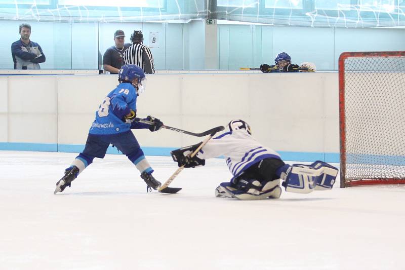V Plzni se hrál hokejový turnaj Wolves Cup pro ročníky 2013