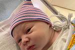 Maximilian Palenyj se narodil mamince Kláře Šimkové v teplické porodnice 8. dubna v 5.53 hodin. Vážil 3350 gramů a měřil 50 cm. Otcem je Nikita Palenyj.