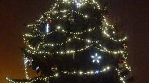 Vánoční strom na náměstí Míru v Duchcově