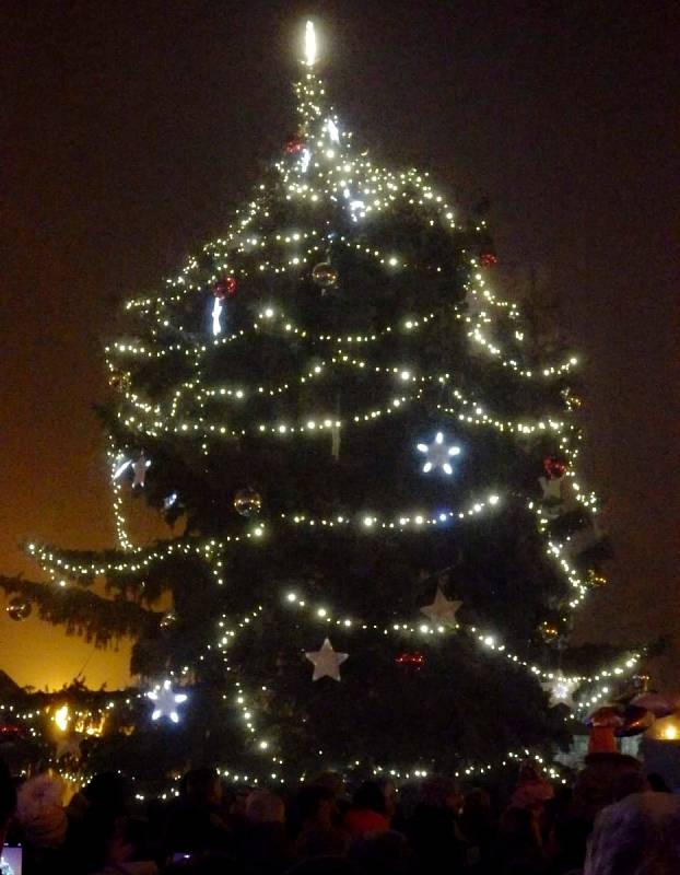 Vánoční strom na náměstí Míru v Duchcově